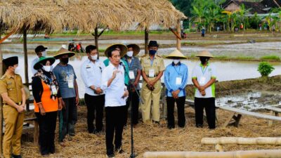Produktivitas Petani Naik, Presiden: Tahun 2021 Kita Belum Impor Beras