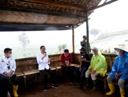 Dialog dengan Presiden, Petani Wonosobo Ungkapkan Manfaat Lumbung Pangan bagi Mereka