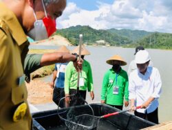Para Petani Sampaikan Harapan dari Kehadiran Bendungan Pidekso
