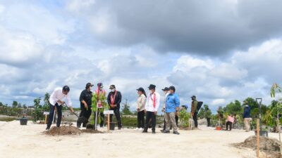 Rehabilitasi Kerusakan Hutan, Presiden Jokowi Tanam Pohon di Area Bekas Tambang