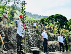 Presiden Jokowi Tanam Pohon Bersama Masyarakat di Desa Simangulampe