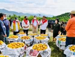 Tinjau Kampung Jeruk, Presiden Disambut Lagu Indonesia Raya di Sepanjang Jalan