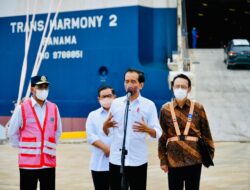 Presiden Jokowi Optimistis Ekspor Mobil via Pelabuhan Patimban Terus Meningkat