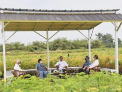 Presiden: Rehabilitasi Lahan Kritis Dimulai dari Pembangunan Persemaian