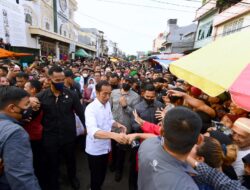 Hari Kedua di Sulsel, Presiden akan Tinjau Panen Padi hingga Smelter
